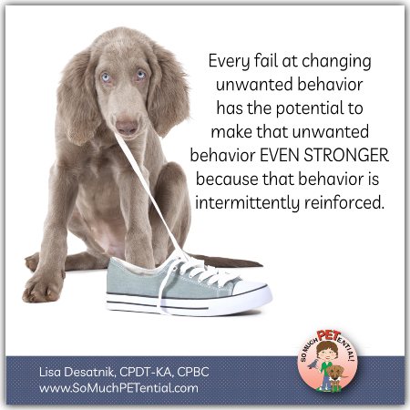 Why would someone use intermittent reinforcement?
The Role of Intermittent Reinforcement in Trauma Bonding

Intermittent reinforcement causes the victim to perpetually seek the abuser's approval while settling for the crumbs of their occasional positive behavior, in the hopes that the abuser will return to the honeymoon phase of the relationship.Mar 31, 2019

Narcissists Use Trauma Bonding and Intermittent Reinforcement To Get ...