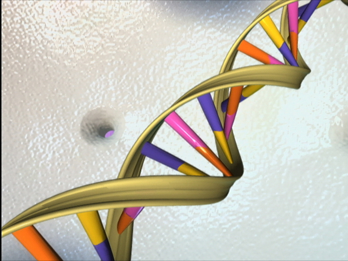 science_charles's tweet photo. Pollutant vs. DNA - 1:0. 
2-nitrofluorene´s interaction w/ #DNA was studied #electrochemically by #dsDNA #biosensor (hanging mercury drop electrode with DNA on the surface) and the negative #genotoxic effect was confirmed. Read more!

🔗https://t.co/NGZORZ2RTx

(MK) https://t.co/9Uk7M98xxr