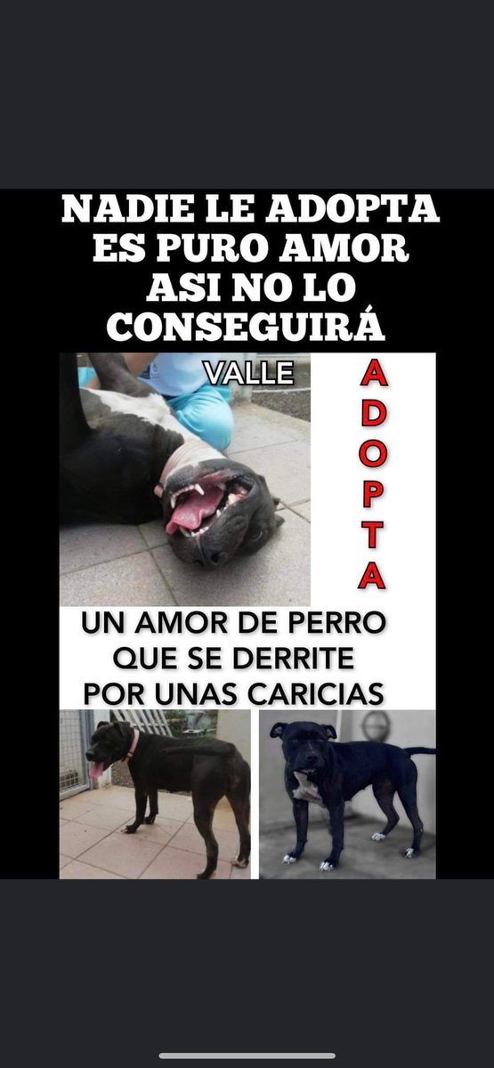 María del Rocío Góme tweet media