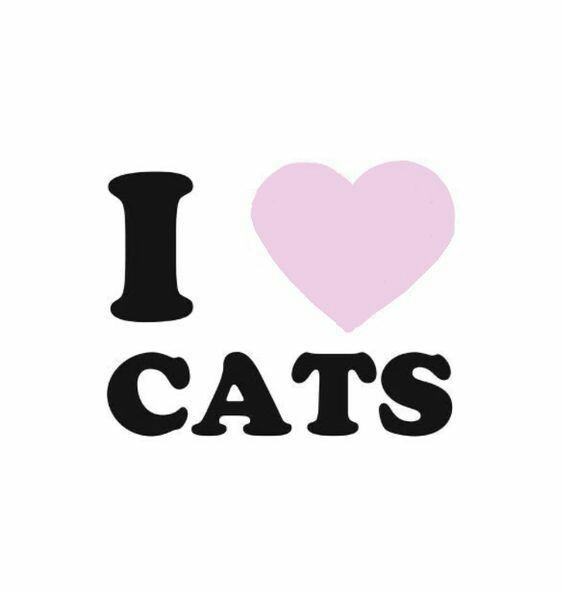 🤨💭
#PacatusChallenge