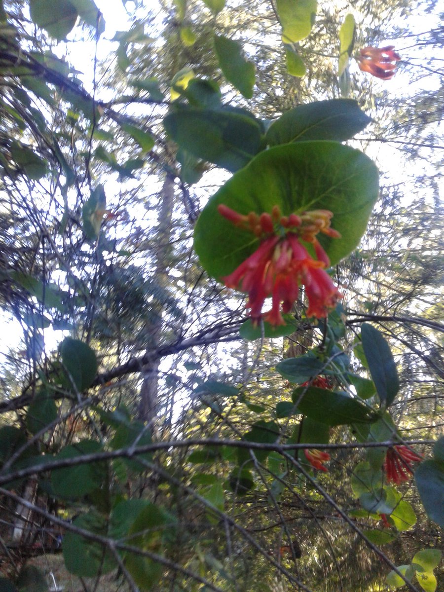 sleightlee's tweet image. 