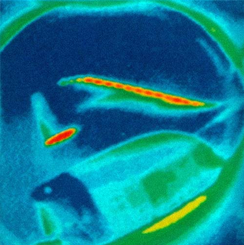 HistoricSpace's tweet photo. The SILTS pod was a camera/sensor suite attached to Space Shuttle Columbia that was used to analyze the vehicle during reentry. It was used from STS-9 to STS-40 when the camera suite was removed, but the pod was kept for usage with other experiments later.

📸credit @NASA https://t.co/RMBAN3ipnl