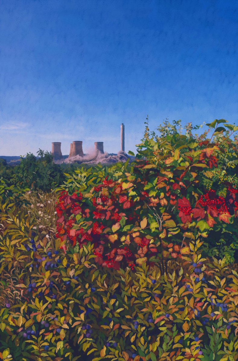 outhwaitegeorge's tweet photo. Slows and Elder Rose
Digital painting https://t.co/2iI2Ukd76A