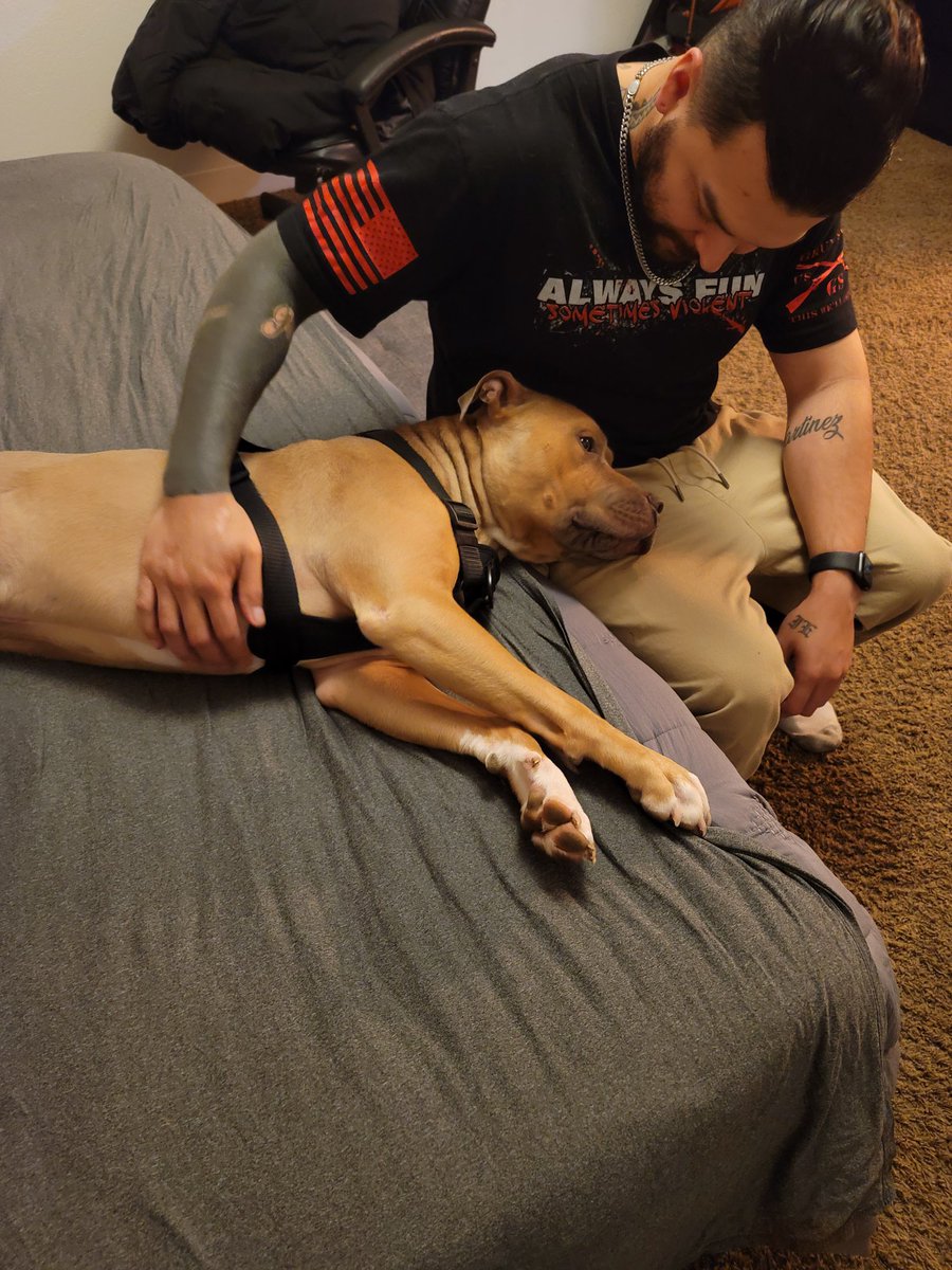 MellyAnn_'s tweet photo. My bf and his foster dog, Kobe https://t.co/rvvIcijhth