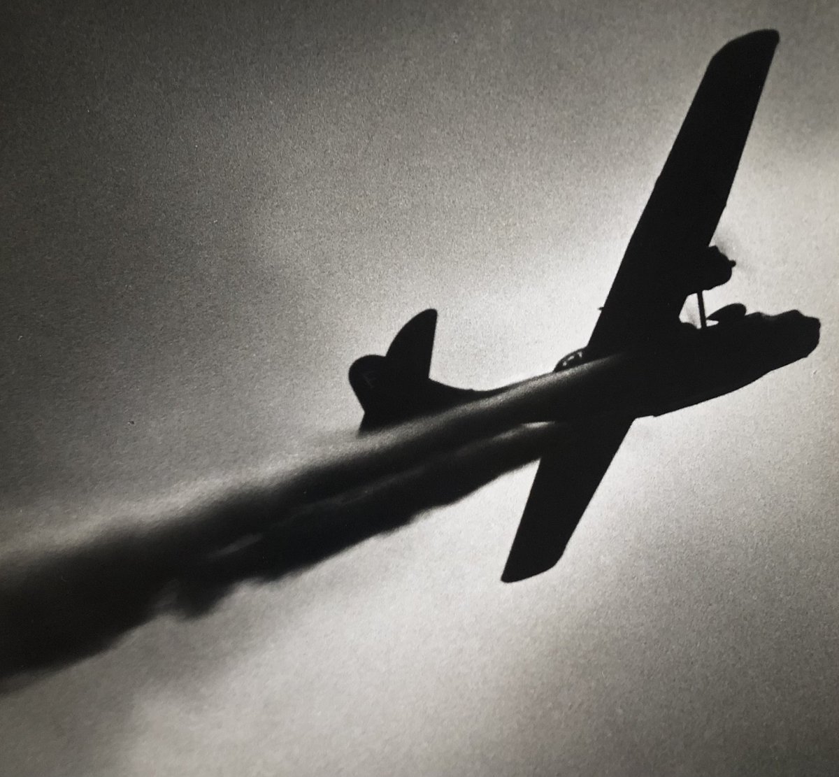 willpunctuate's tweet image. Naval aviation on the Great Lakes.
#pbycatalina making smoke.