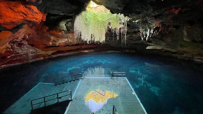 1 pic. Just finished #snorkling in devil's den. Such a cool experience seeing fish come right up to you