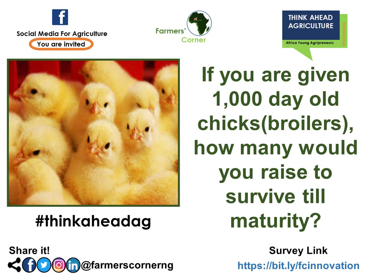 Answer the question through the media using statistical data or scientific proof.

Tag a friend. #chicks #broilers #chicken #livestock #meat #meatpro #agpro #youthinag #thinkaheadag #farmerscornerng