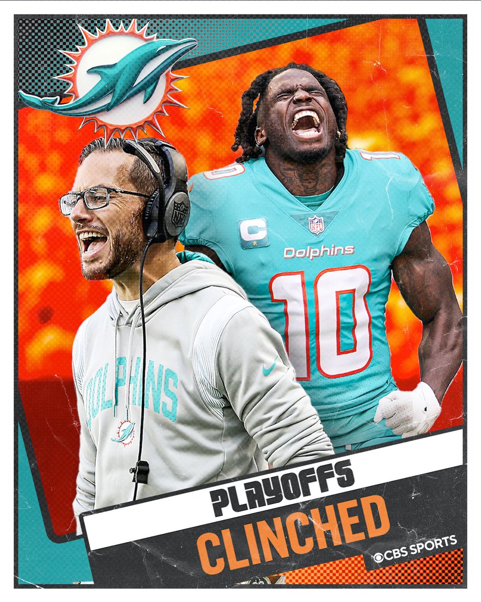 THE DOLPHINS ARE IN