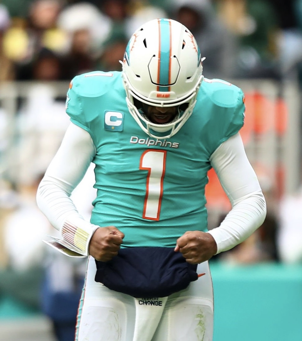 Dolphin Nation on Twitter "THE MIAMI DOLPHINS ARE GOING TO THE