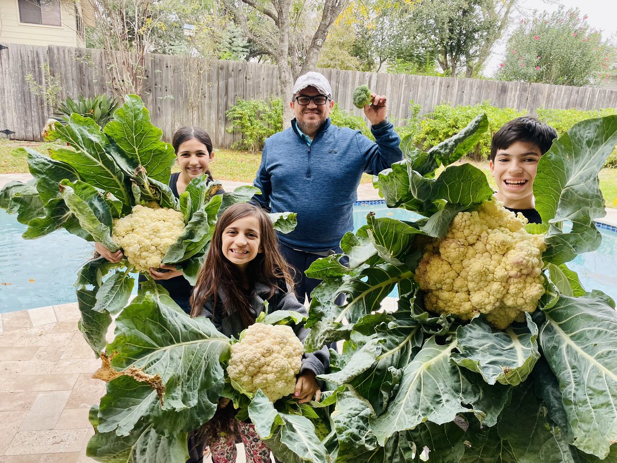 Our family loves being a part of the <a href="/CityofMcAllen/">City of McAllen, TX</a>’s Community Garden. I only wish more people had the opportunity to participate. #rgv #956 #communitygarden