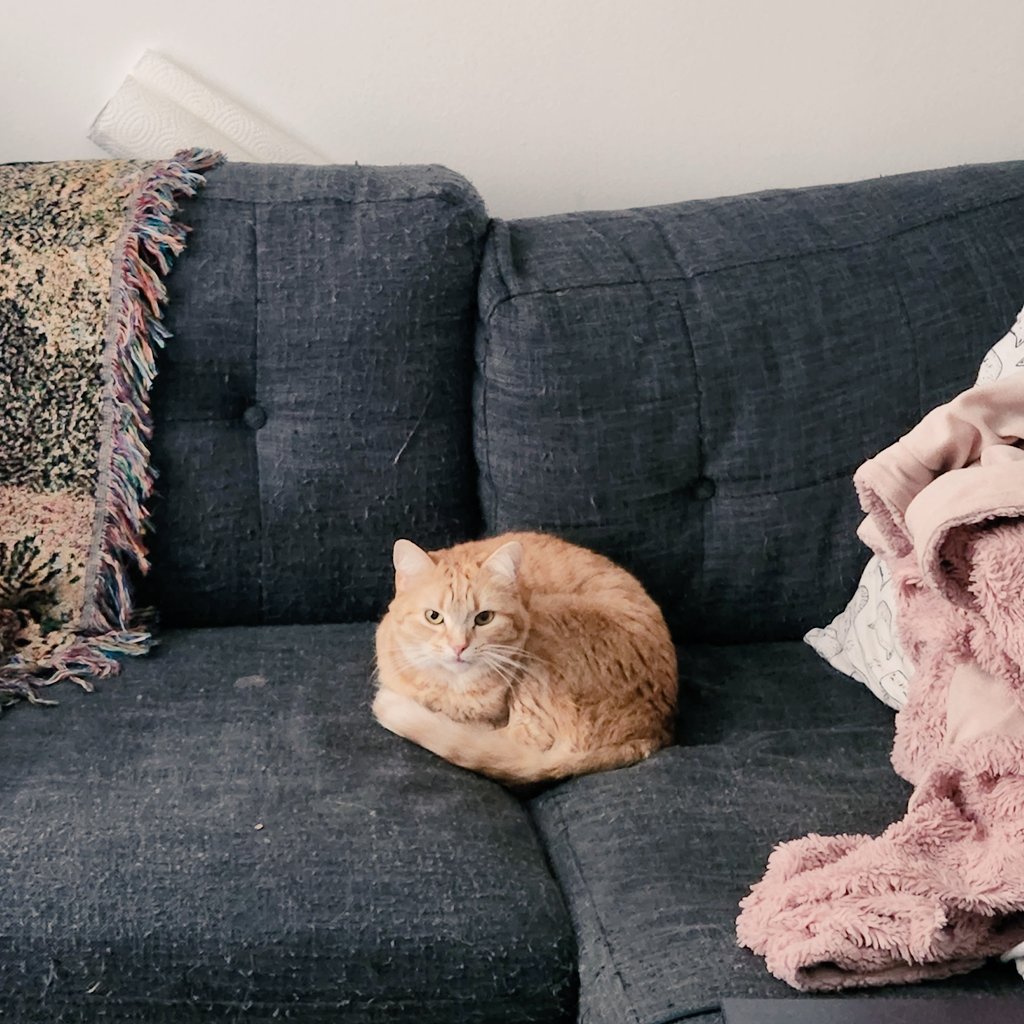 She was waiting so patiently for me to come home from work 🥺