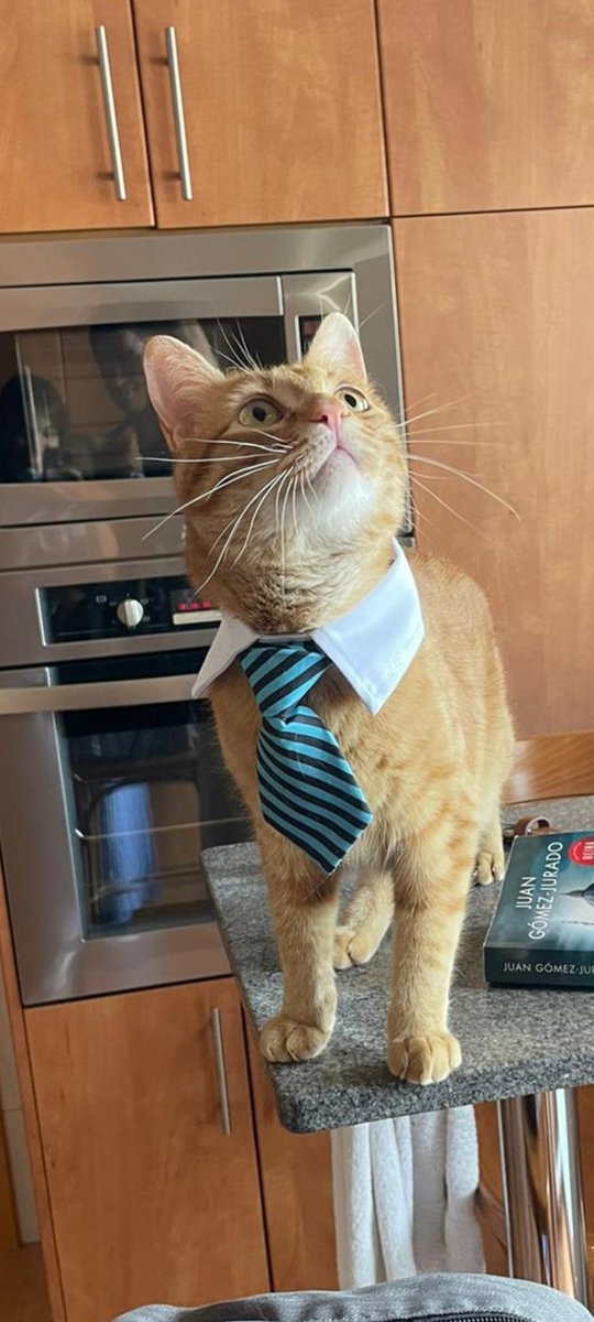 Pablo Andreu🦦 tweet media