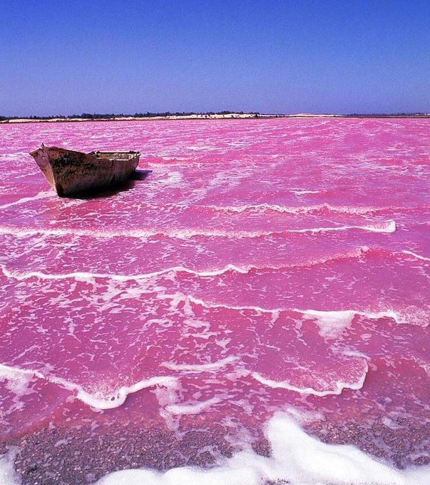 Massimo on Twitter "Lac Rose (meaning Pink Lake) lies north of the Cap
