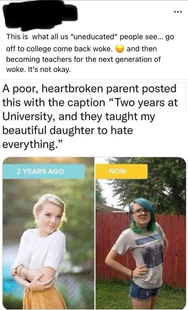 chame nodari🇬🇪💙💛 on Twitter "RT RightWingCope Woke is when blue hair