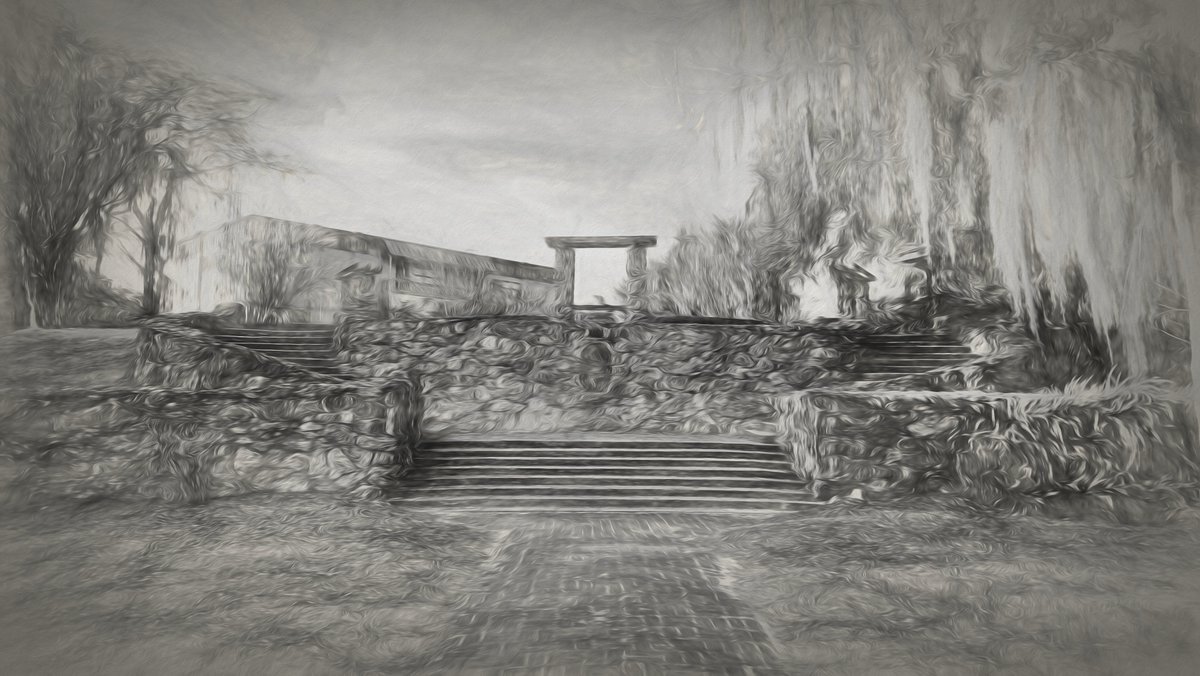 JimBaileyPhotos's tweet image. Beautiful day at the Ravine Gardens State Park in Palatka FL. @FLStateParks #floridastateparks #palatka #ravinegardens #NaturePhotography #landscapephotography