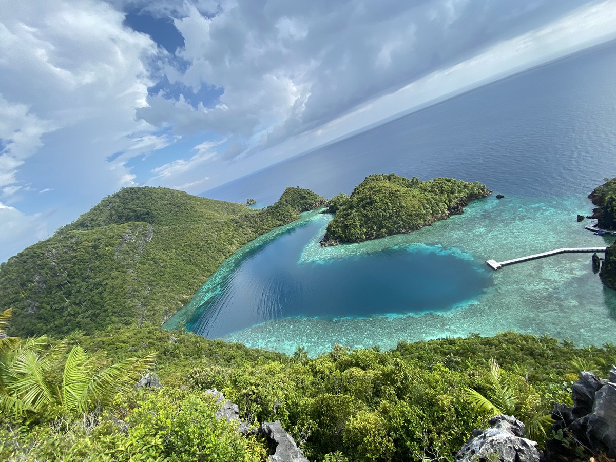 joewannabeer's tweet photo. First live aboard experience. What a trip! Incredible scenery and marine life. https://t.co/EciNNuWeqb