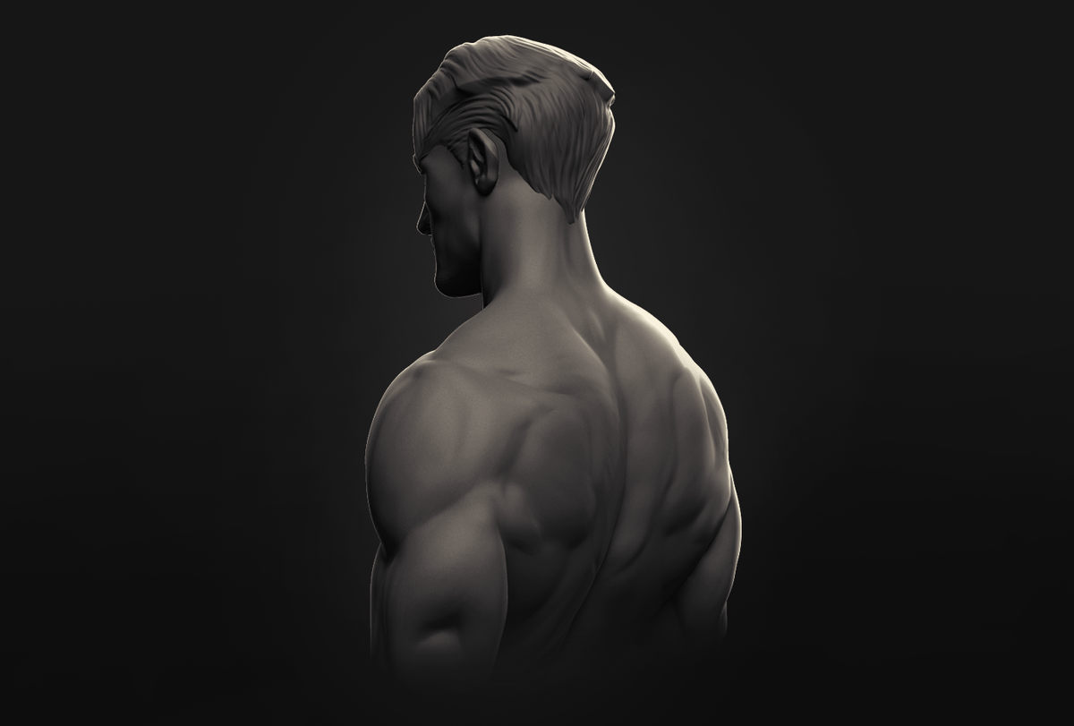 「Sculpting in the night - Anatomy studies」|xiphosのイラスト