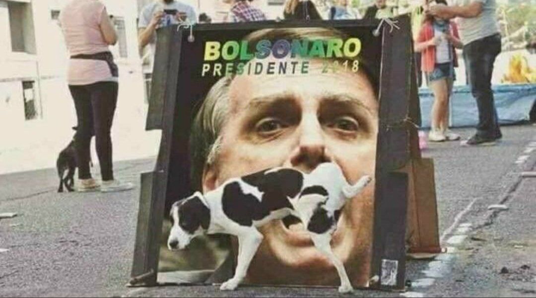 I  cani lo hanno capito.
Chissà quando capiranno anche le persone chi è questo nazista?
#Brasile