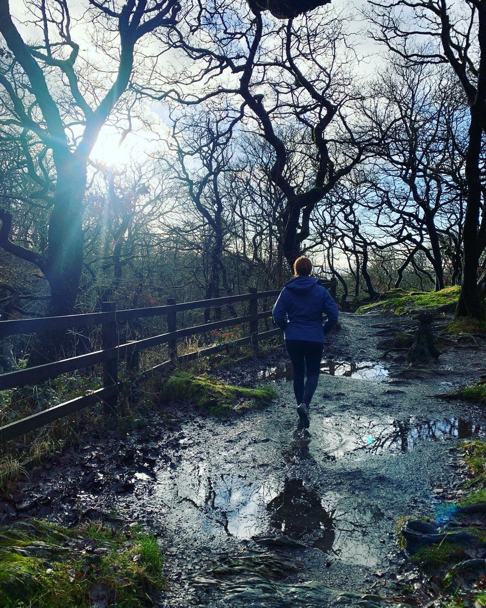 Richie_K143's tweet photo. Decent 4.5 Mile hike around Ingleton Falls on Saturday with intimate views of 6 different waterfalls ๐ฌ๐ง
#getoutside #wanderlust #yorkshiredales #ingletonfalls #beautifulbritain #grimupnorth https://t.co/MrpvhCqkLI