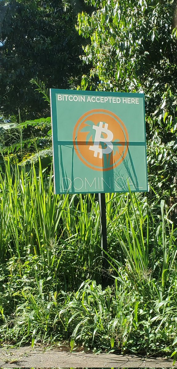CryptoChicken7's tweet image. Having a blast surfing in Dominical, Costa Rica while exploring @BitcoinJungleCR ... seemless experience paying with $btc for an awesome lunch at Cafe Mongo Congo! My wife even enjoying buying coffee with #Bitcoin