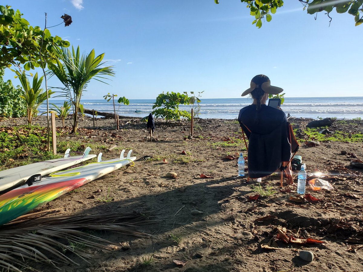 CryptoChicken7's tweet image. Having a blast surfing in Dominical, Costa Rica while exploring @BitcoinJungleCR ... seemless experience paying with $btc for an awesome lunch at Cafe Mongo Congo! My wife even enjoying buying coffee with #Bitcoin