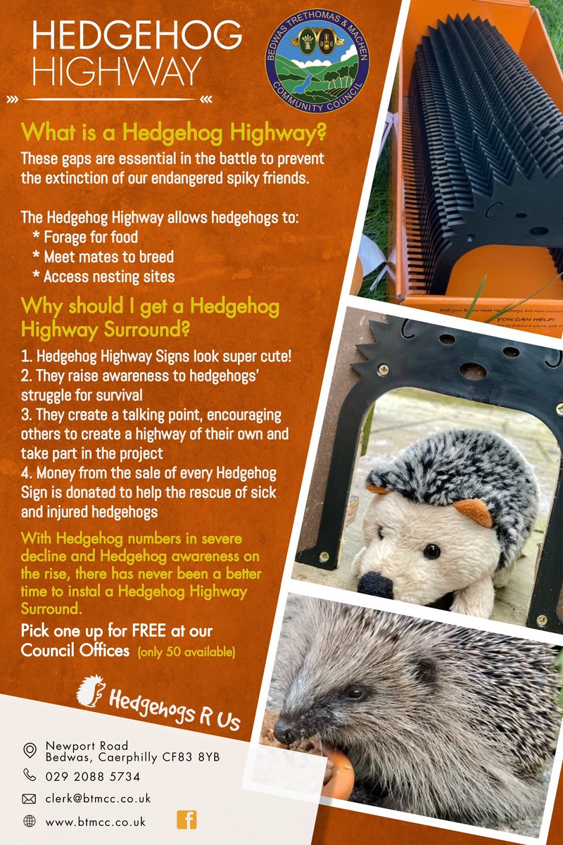 🦔🦔🦔Hedgehog Highway🦔🦔🦔

Pick one up for FREE at our BTM Council Offices. You can contact our Clerk via Tel: 029 2088 5734 or Email: clerk@btmcc.co.uk
#BTMCC #HedgehogHighway #HedgehogsRUS #Community #BTMarea #GYR