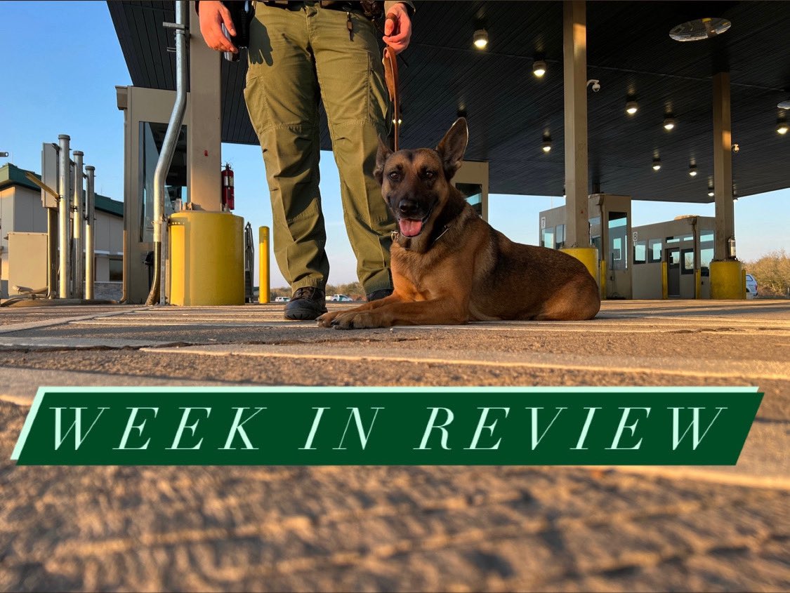 RGV Week in Review‼️

First Friday of 2023 and we stand at:
- 2,980 Encounters
- 2 Sex Offenders Arrested
- 2 Firearms Seized
- 26 Vehicles Seized
- 239 lbs Marijuana Seized

Great Work RGV Agents!
Let’s go!💚🇺🇸