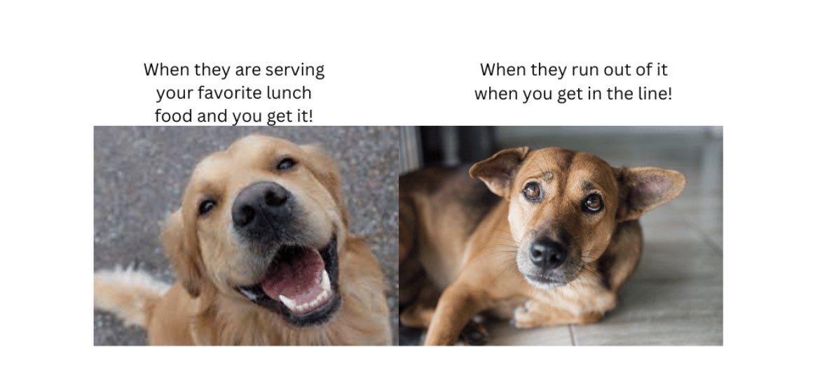 Elkhorn Middle tweet media