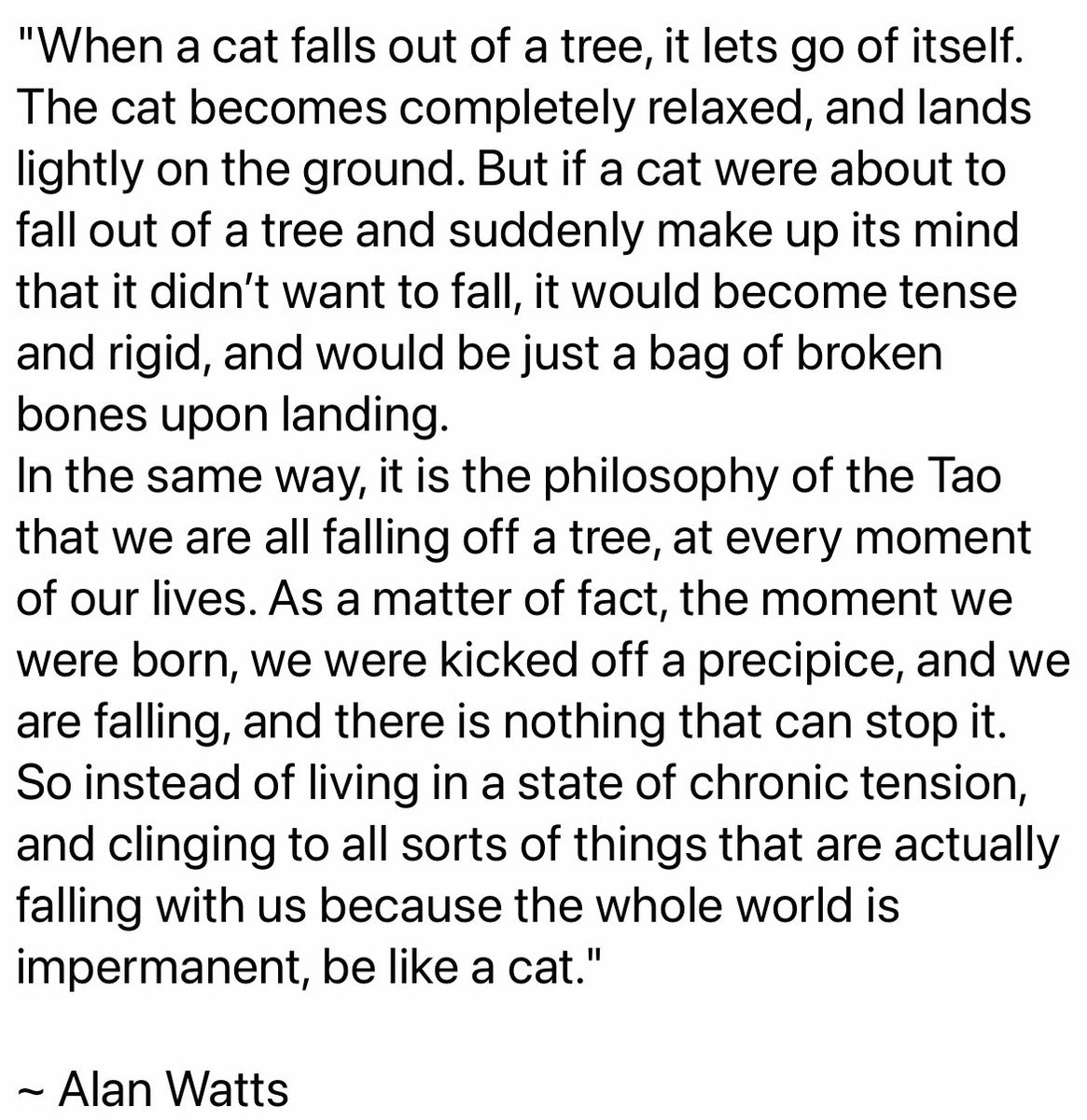 Peasweat2's tweet photo. #BeLikeACat https://t.co/qJsK2GiyMe