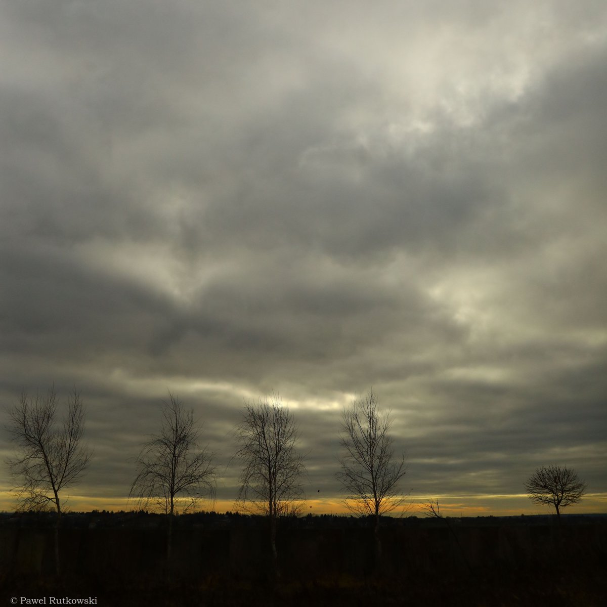 Na uboczu / The odd one out
Udanej soboty! :-)
#LandscapeforSaturday #trees #sky #clouds #landscapephotography #naturephotography #ThePhotoHour #StormHour #StormHourThemes