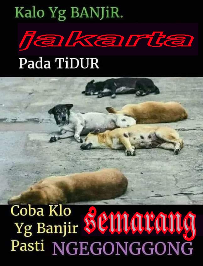 jhonaz191's tweet photo. @sutanmangara https://t.co/RpKtmRucik