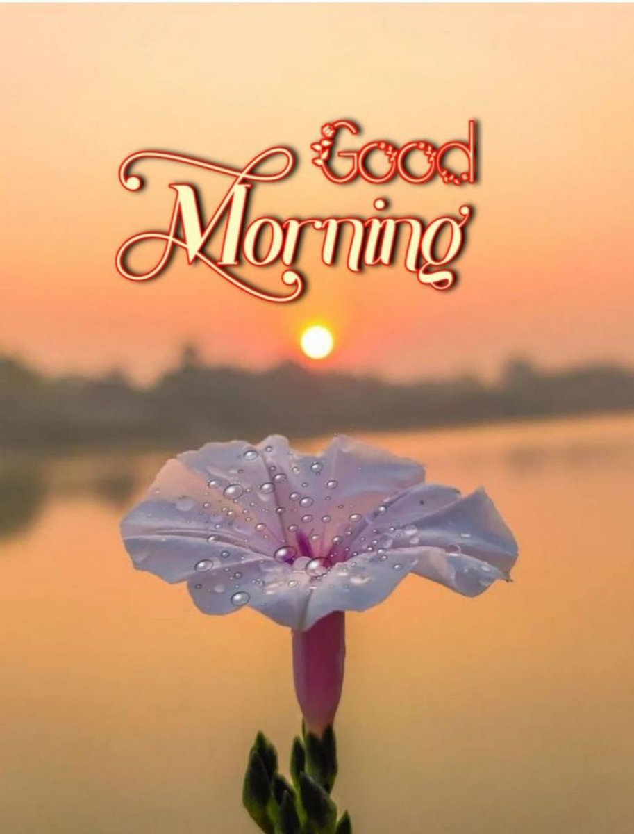 R K Meena RJ 34 (@k_sapotra) on Twitter photo 