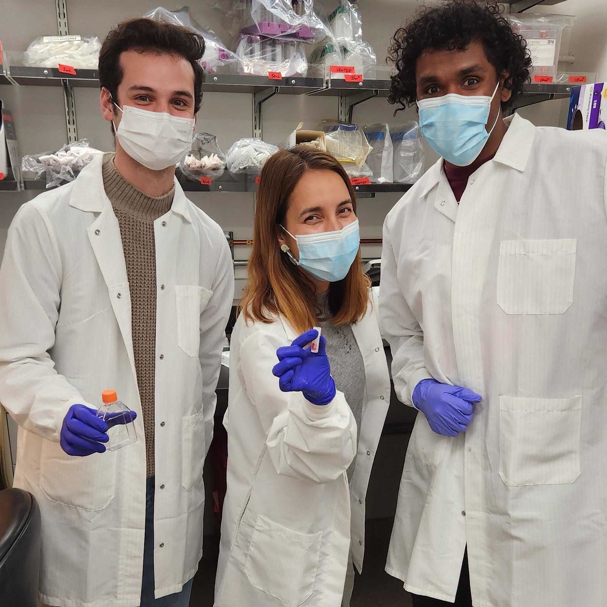 Filipa Rijo-Ferreira tweet media