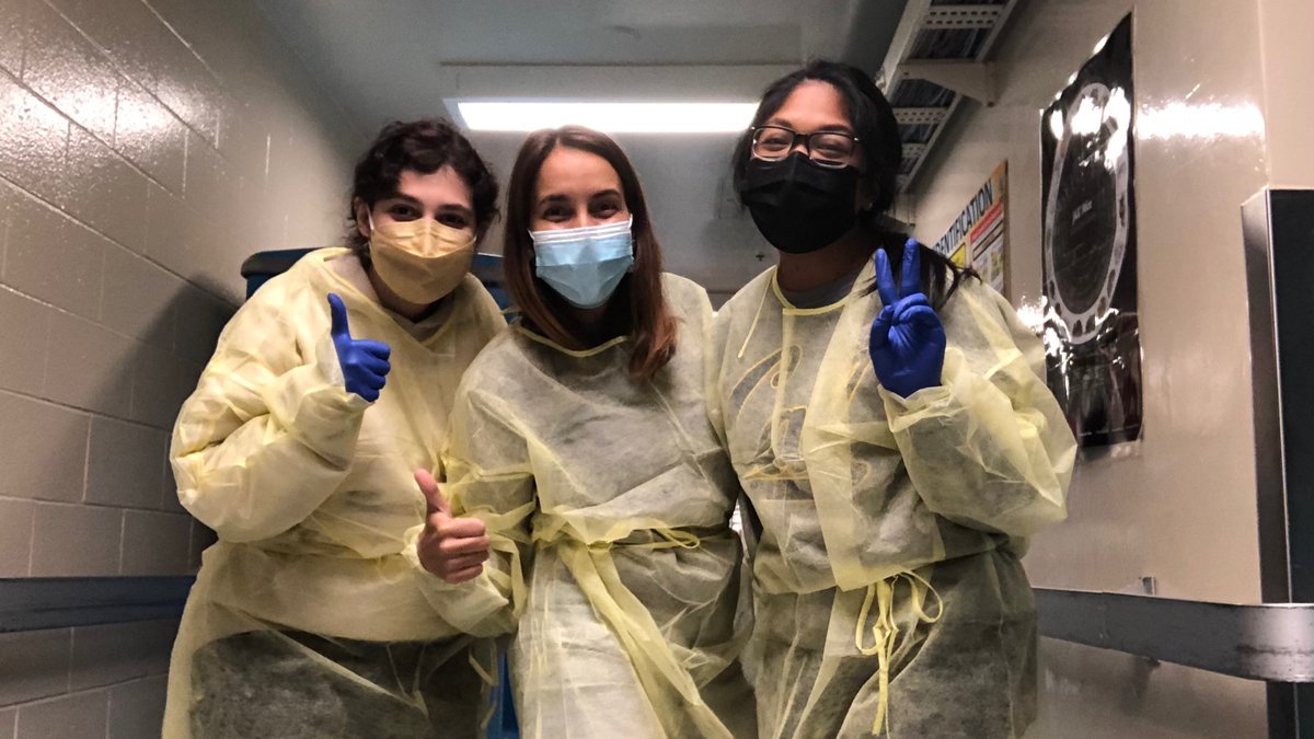 Filipa Rijo-Ferreira tweet media