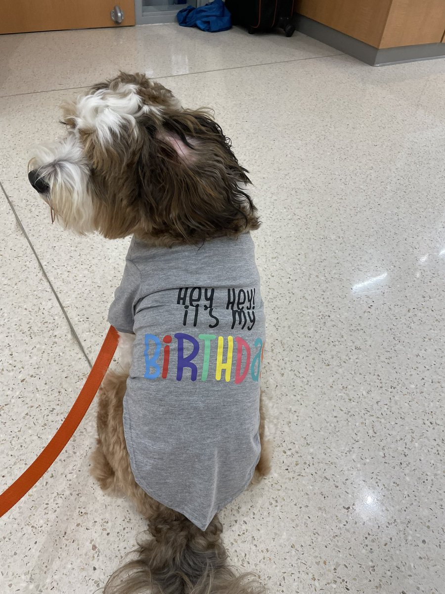 Beth Traczykiewicz tweet media