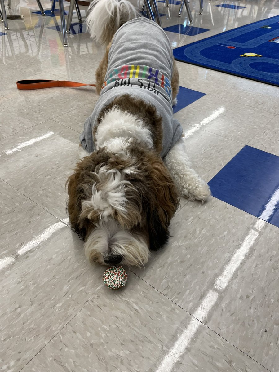 Beth Traczykiewicz tweet media