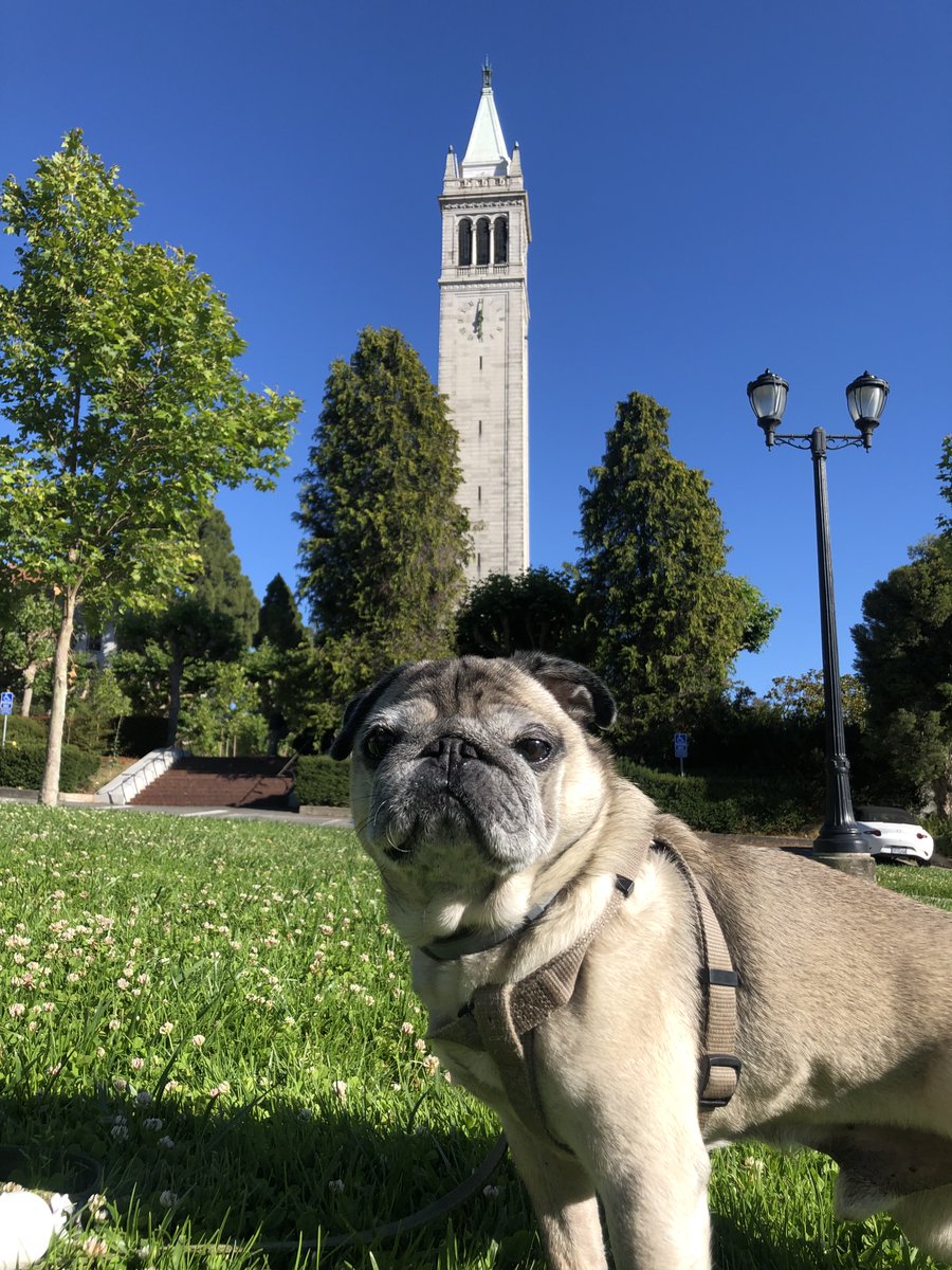 Filipa Rijo-Ferreira tweet media