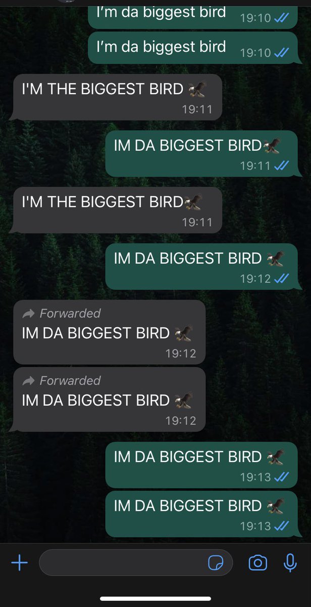 This is what my friend and I do in our free time🥰