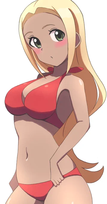 ビキニのおねえさん(XY)です 