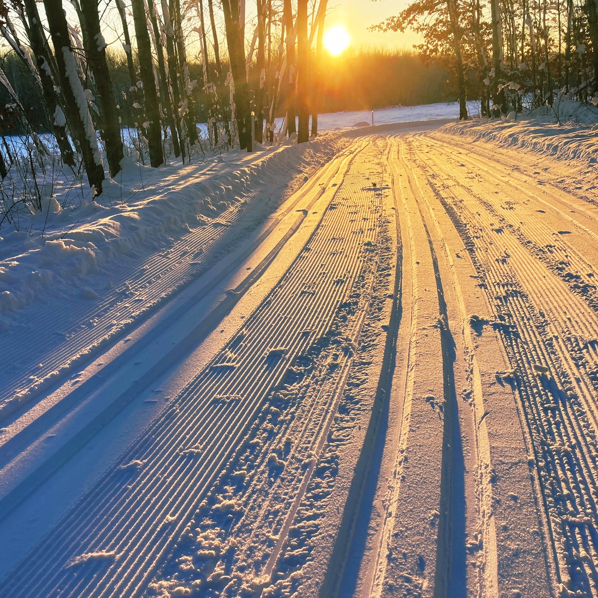 AnnWessel's tweet photo. Previously today: Perfect XC ski conditions @StearnsCountyMN Quarry Park @visitstcloud. Now: Full moon, clear sky, plowed roads &amp; the Nordic Ski Club’s hosting a ski till 8. #winter #skiing #outdoors https://t.co/DZuttjpIYq
