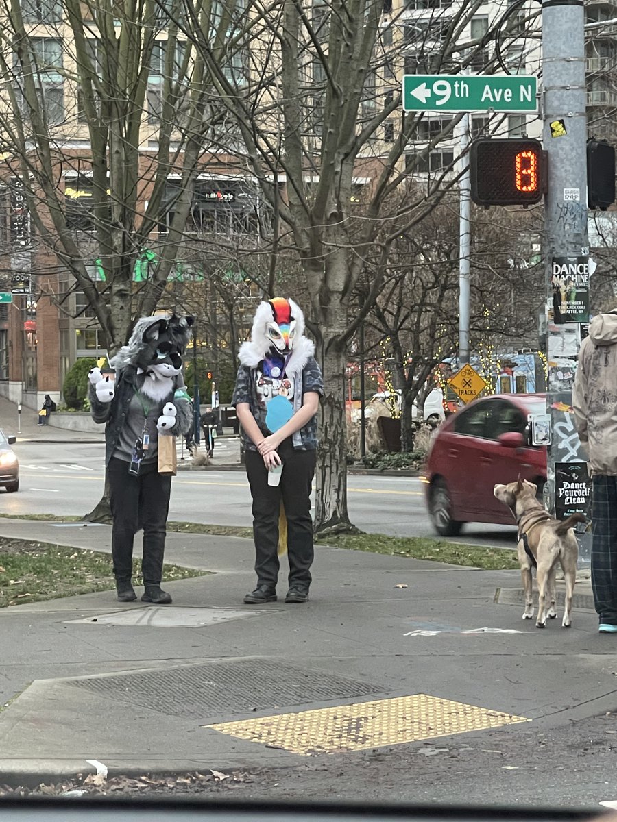 sarah (@notsarahfry) on Twitter photo 