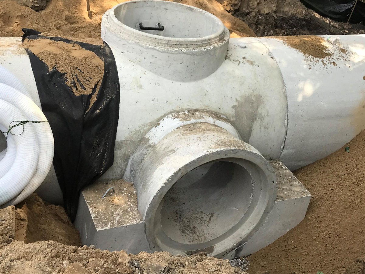 UT SEAoO tweet media