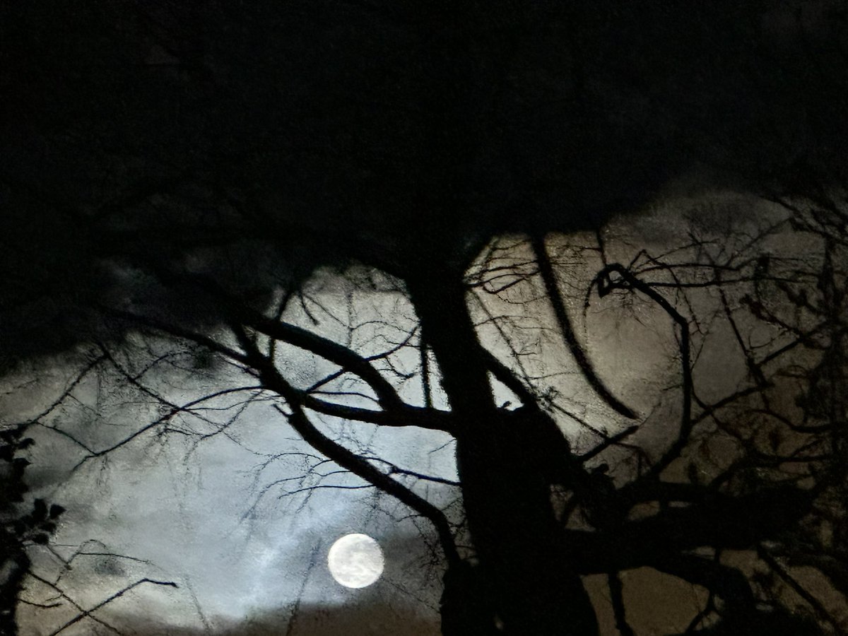 GillesCollette's tweet image. Ce #soir