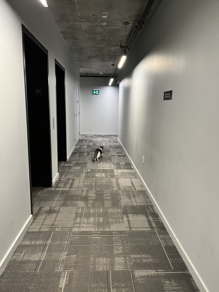 Anthony Oliveira tweet media