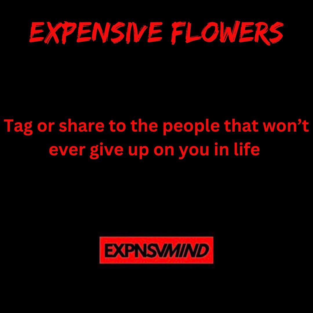 1expensive_mind's tweet photo. Expensive Flowers Friday 🌼💯💐

☀️ Tag 🏷️ or share to the people that no matter what you do they won’t give up on you 🫡😂 send them flowers of your appreciation 🥂🧠

🏷️ #bestfriends #tag #neverletmedown #spirit #hustle #down4life #reallifer #4lifers #roaddawg #thatsmydawg https://t.co/CjeRro9WSU