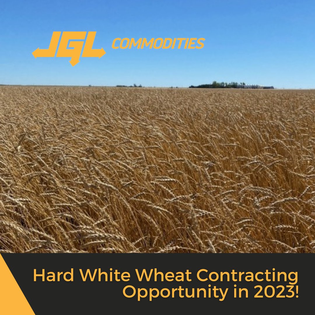 It’s a New Year &amp; we are your source for NEW Ideas in grain marketing! JGL Commodities is offering LIMITED ACRES of Hard White Wheat to contract for the 2023 growing season. 
Call: 306-624-2378
We will also be at the Crop Production Show in Saskatoon, Jan 9-13th.