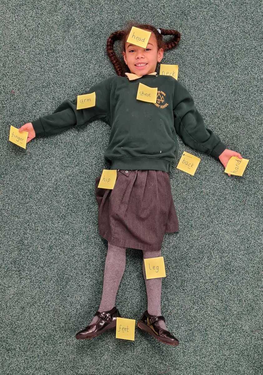 firsprimarysale's tweet image. #Y1Apple had a great time learning about the body. We labelled the different parts of our friend's body. What a great model they were 😊 #Science #handsonlearning #fun