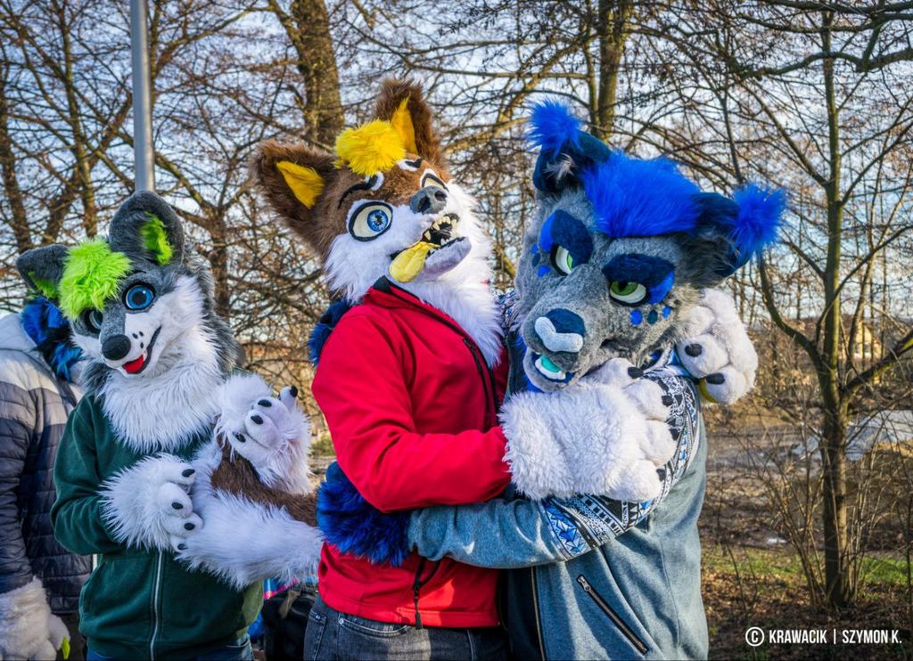 krawacikpanda's tweet photo. #NewYear with #homies 
Full Post - https://t.co/tgtRd5LuAb

New year with homies 😎
My Channels:
Instagram: @krawacikpanda
Telegram: @krawacikowo 
Facebook: Krawacik Panda 

Models: 
@MilsonTheWolf @Wolfy_PL @icon_lynx

#furry #fursuit #furrypolska https://t.co/04Kn95LveM