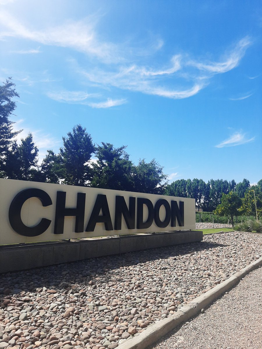 ViveLosAndes's tweet photo. Algunas imágenes de una soleada tarde de verano en Mendoza.
¿Cómo evitamos el calor?: #bodegueando
Visitamos bodega #Chandon @BodegaNorton y su restaurante La Vid. Y @CatenaMalbec al pie de la Cordillera de Los Andes.#rutadelvino
#winetour #Mendozatour https://t.co/MUvl0XyxeF