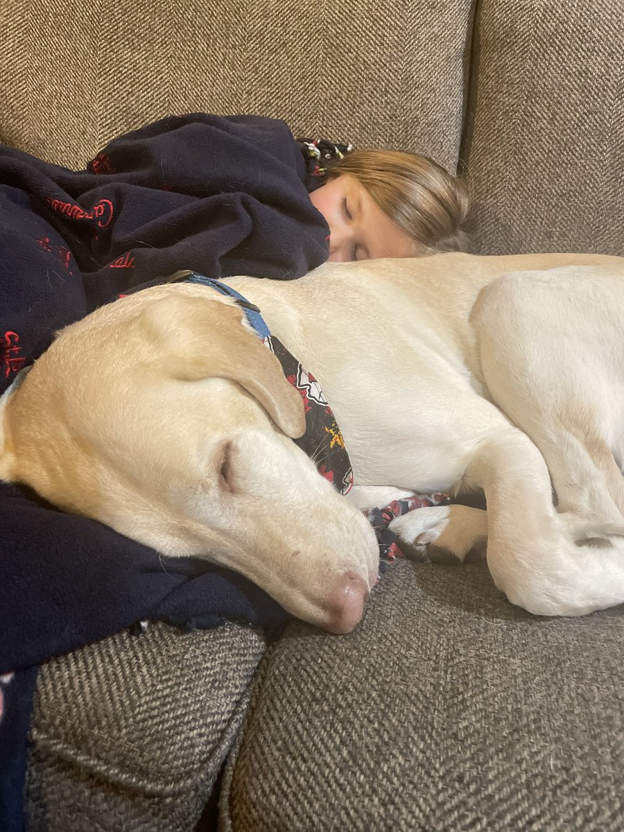 Megan Laws tweet media